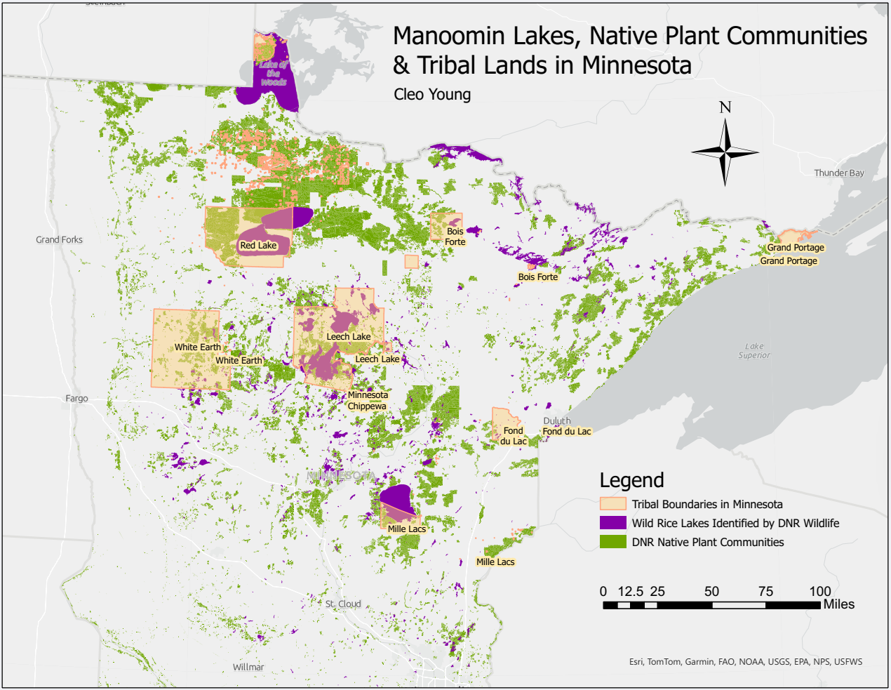 Manoomin, Native Plant Communities, and Tribal Lands